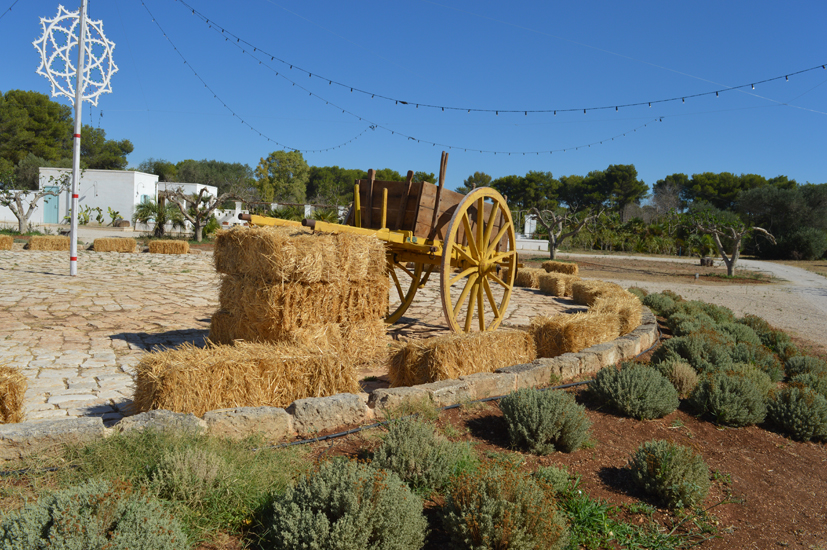 wmasseria-covoni.jpg